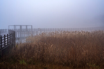 Obraz premium Wooden boardwalk path over lake in thick morning fog with dry reeds