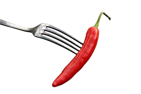 Eine frische rote scharfe Peperoni auf einer Gabel. Sch&auml;rfe und Gesundheit in der K&uuml;che, freigestellt in png