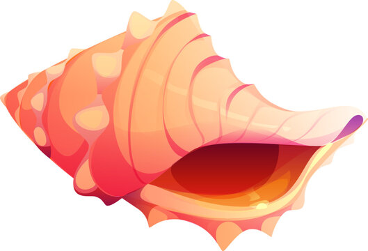 Sea bottom murex cartoon seashell or mussel. Coral reef isolated seashell, underwater mollusk cartoon shell. Ocean life aquatic mussel