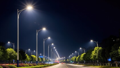 Nighttime Illumination: A tranquil night scene unfolds as streetlights stretch into the distance, painting the road with a soft glow, with lush green trees lining the road.