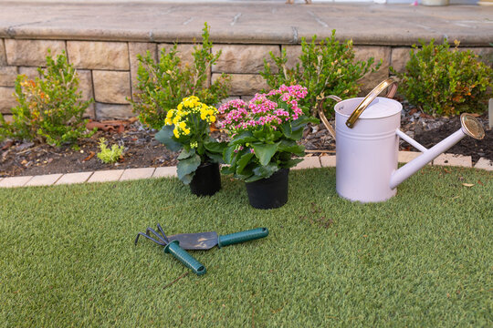 Two nursery pots, pastel purple watering can and green tools sitting on neat turf by wall