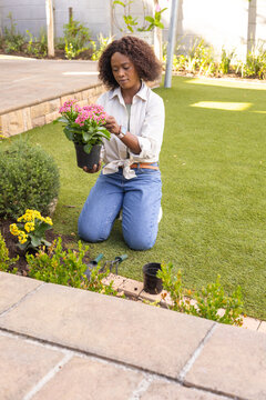 African American woman kneeling on lawn, holding pink potted plant, inspecting foliage with trowel