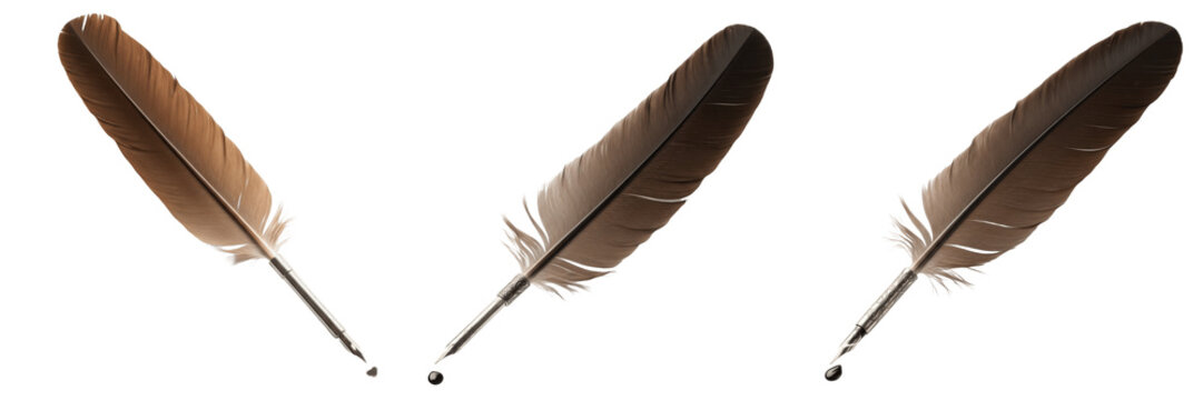 Set of vintage quill pen collection and brown bird feather nibs for writing isolated on white transparent png background