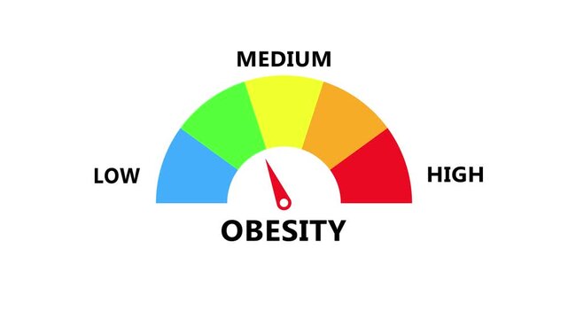 Obesity level gauge showing body weight condition with colorful semicircle arc and needle indicator in modern digital healthcare monitoring dashboard transparent background 4k visuals