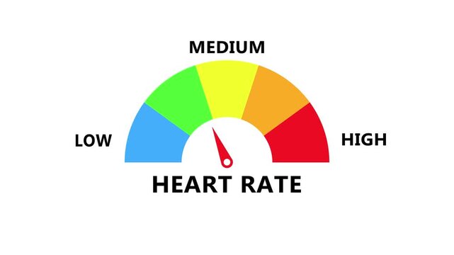 Heart rate gauge displaying pulse level with colorful semicircle arc and precise needle indicator in modern digital healthcare monitoring dashboard transparent background 4k visuals