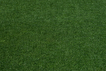Perfectly Maintained Grass at a Football Stadium © minortica7