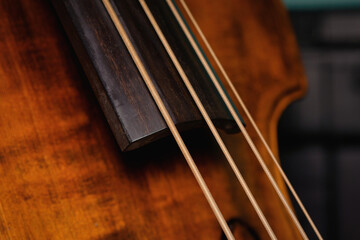 Macro shot of a classic wooden double bass showing the texture of the strings and the polished fingerboard in warm ambient light © gehapromo