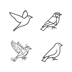 Fototapeta premium Four different bird line drawings on white background