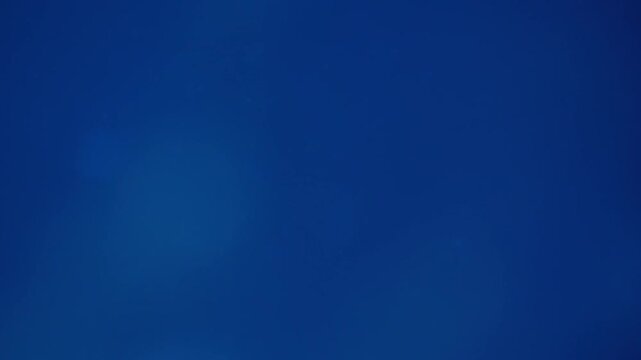 Shark Swimming Underwater in Blue Sea, Cinematic Stock Footage, 4K