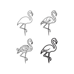 Obraz premium Four different flamingo drawings in black and white