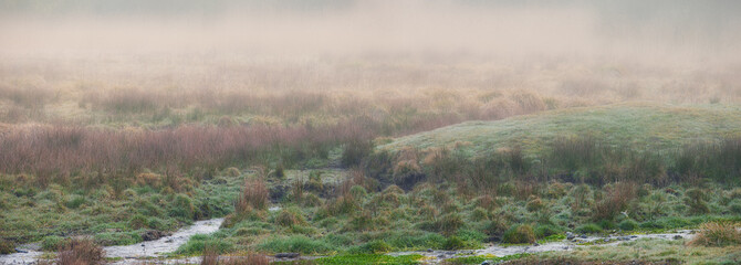 Naklejka premium Stream, field and meadow at farm in nature with grass, outdoor and shrub in morning fog. Landscape, wilderness and river in autumn, hill or mist on banner, sustainability or environment in Spain