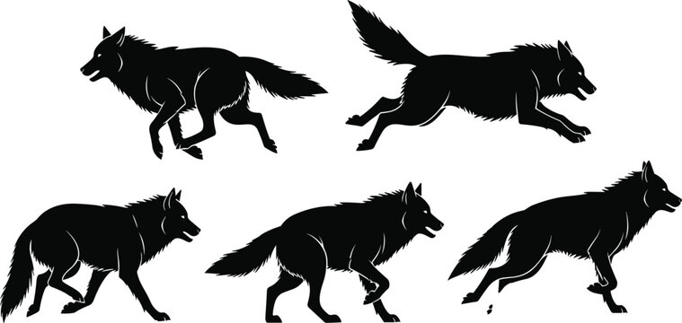 Set of black wolf silhouettes in various running and jumping poses, hand drawn wild animal pack icons isolated on white,