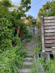 Taiwan Travel Photography 台灣旅遊 美食與風景 대만여행 음식 풍경 감성 사진