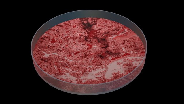 Bacteria growing in petri dish. Microbes reproducing in petri dish. Lab grown meat. Synthetic lab grown food. 3d render illustration isolated on black background.