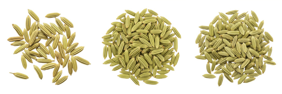 Raw Organic Fennel Seeds Isolated on White Background, Natural Green Saunf Seeds Pile for Culinary and Herbal Medicine Design, Healthy Spice Ingredient Mockup for Food Design Assets