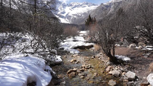Mountain snow stream valley winter forest rock glacier scenery, clear water winding through alpine trees, snowy banks, bare woods, rugged peaks, bright sunlight, calm refreshing wilderness