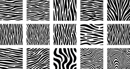 Zebra stripe abstract patterns collection with animal skin texture wavy lines black and white seamless vector backgrounds © Vector Design Hub