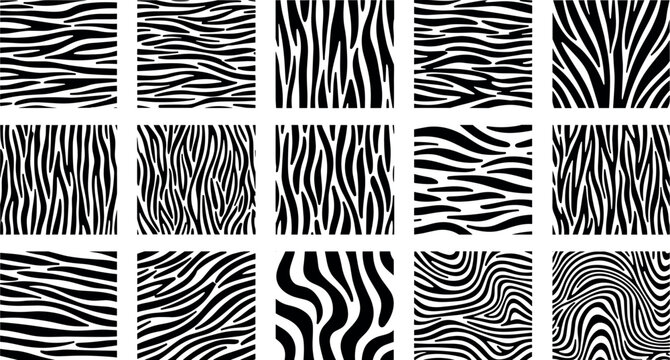 Zebra stripe abstract patterns collection with animal skin texture wavy lines black and white seamless vector backgrounds