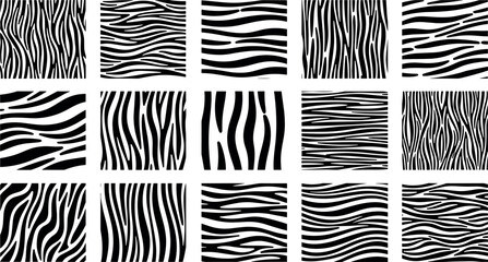 Zebra stripe patterns collection with abstract animal skin textures wavy black and white safari seamless vector backgrounds set © Vector Design Hub