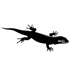 Obraz premium Black silhouette of a lizard on a white background
