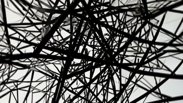 Abstract black lines overlap against a white backdrop, creating a complex, dark pattern