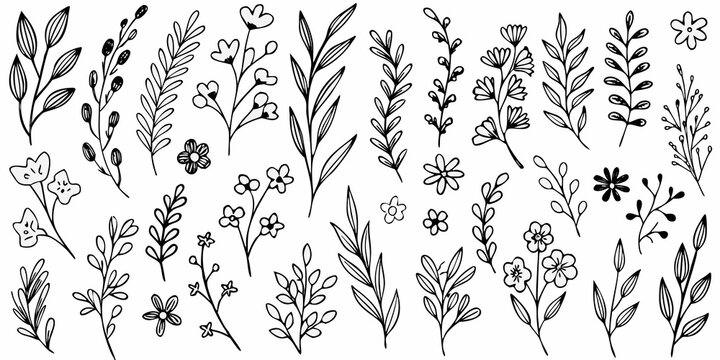 A collection of delicate hand drawn floral and botanical line art