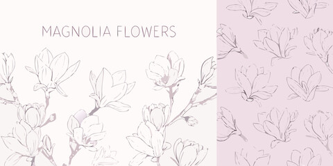 Delicate magnolia flower sketches on a pale pink background © Smritykona