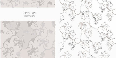Obraz premium Elegant botanical illustration of grape vines with clusters of grapes