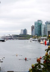 Bright scull rowers and boats in Coal Harbour with downtown Vancouver high rises and harbour under overcast sky. © Irene