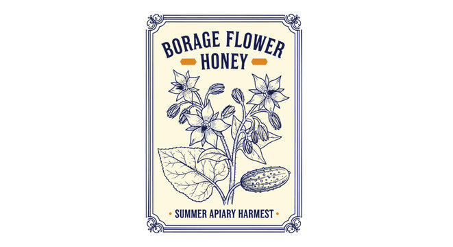 Vector illustration of borage flower honey label