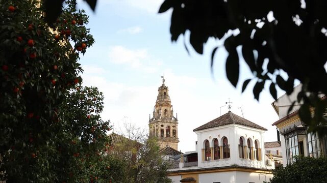 The Mezquita Catedral bell tower in Cordoba rises among orange trees. White Moorish houses sit below. Soft golden light suggests late afternoon and urban life.