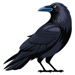 Fototapeta premium Isolated crow illustration on white background vector artwork ideal for wildlife bird nature spooky or gothic themed creative designs