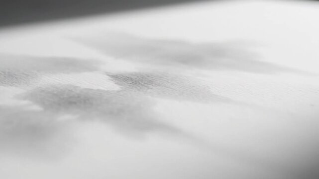 Blurry black and white surface texture.