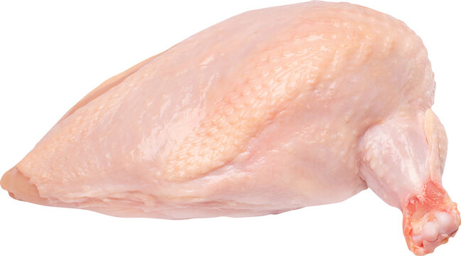 Chicken Meat Without Background