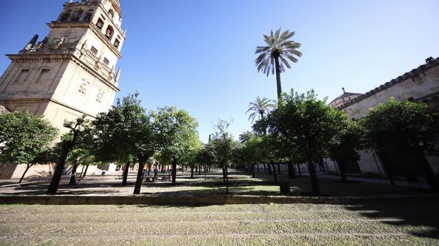 Bell tower of Mezquita Catedral rises left as orange trees line Patio de los Naranjos in Cordoba. Palm trees, horseshoe arches, and visitors appear under midday light.