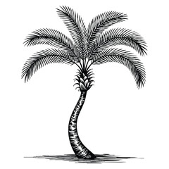 Palm beach tree summer rest single icon in black style bitmap raster symbol stock illustration ideal for vacation travel tropical holiday themes © Nass Studio