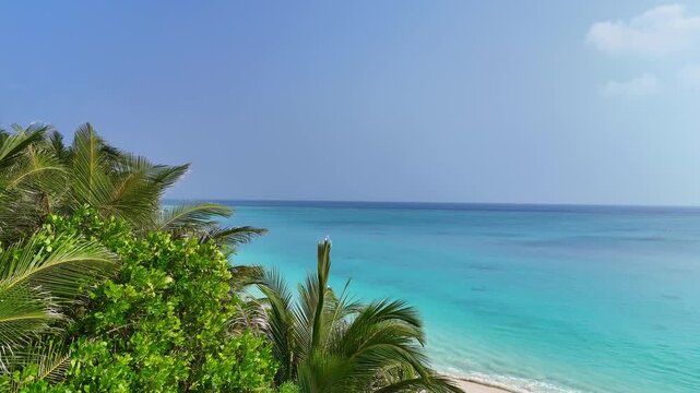 Breathtaking aerial drone reveal flying over lush palm trees to a pristine white sand beach and crystal-clear turquoise water on Ukulhas Island, Maldives.