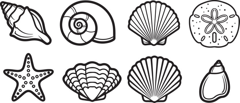 Assorted seashells and starfish: a collection of coastal treasures Vector