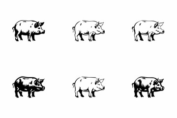Six monochrome illustrations depict various perspectives of domestic pigs © Partha