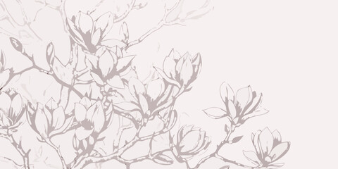 Delicate magnolia branches with blossoms in a soft muted palette © Partha