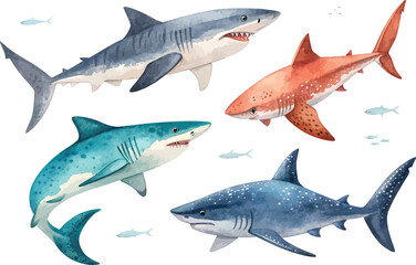 Obraz premium set of Hand-Painted Shark Watercolor style, Marine Predator Art, Isolated Vector Illustration