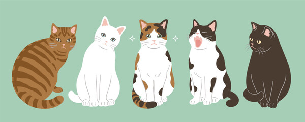 かわいい猫のヘッダーデザイン © Spiharu