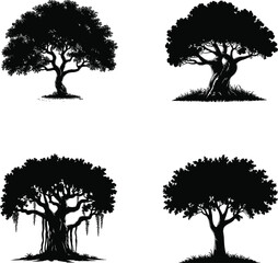 Fototapeta premium Set of four realistic black tree silhouettes including banyan and oak with detailed branches and roots isolated on white background