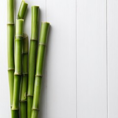 Fototapeta premium Green bamboo stems arranged on white wooden background, top view with copy space