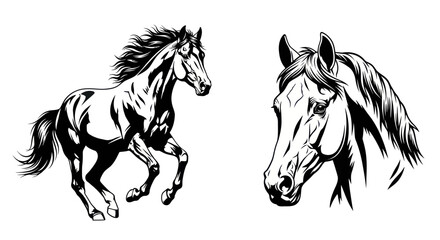 Obraz premium Black and white line art of a galloping horse and a horse head