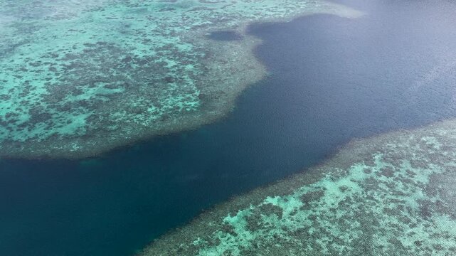 Aerial View of Vibrant Coral Reefs and Deep Blue Ocean Channels in Palau