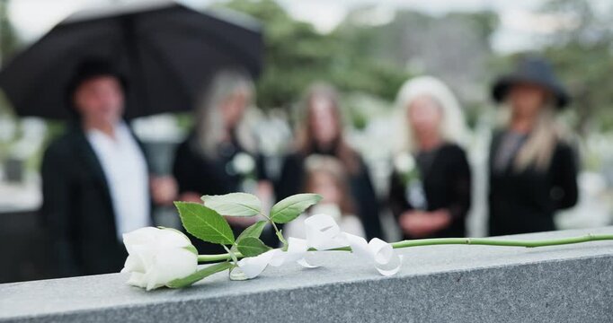 Hand, gravestone and flower for funeral at cemetery, memorial service and pay respect. Person, graveyard and white rose on tombstone for peace, grief and mourning death with family at ceremony
