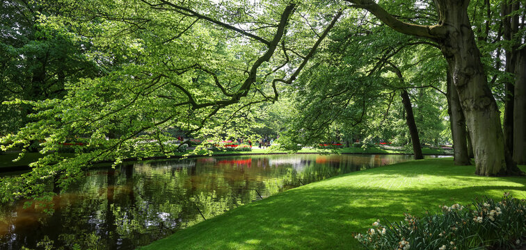 Keukenhof park canal with green trees and reflected light