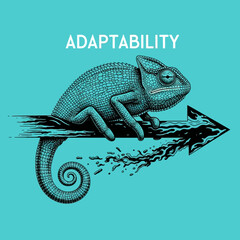 Chameleon sitting on an arrow. © taufik