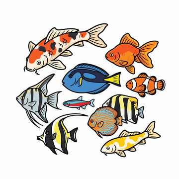 A vibrant collection of diverse freshwater and saltwater aquarium fish, illustrated in a charming cartoon style.